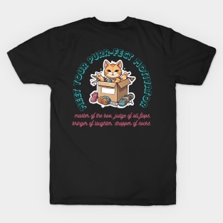 Box King, Flop Critic, Laughter Guru, Sock Ninja. Meet Your Purr-fect Motivator. T-Shirt